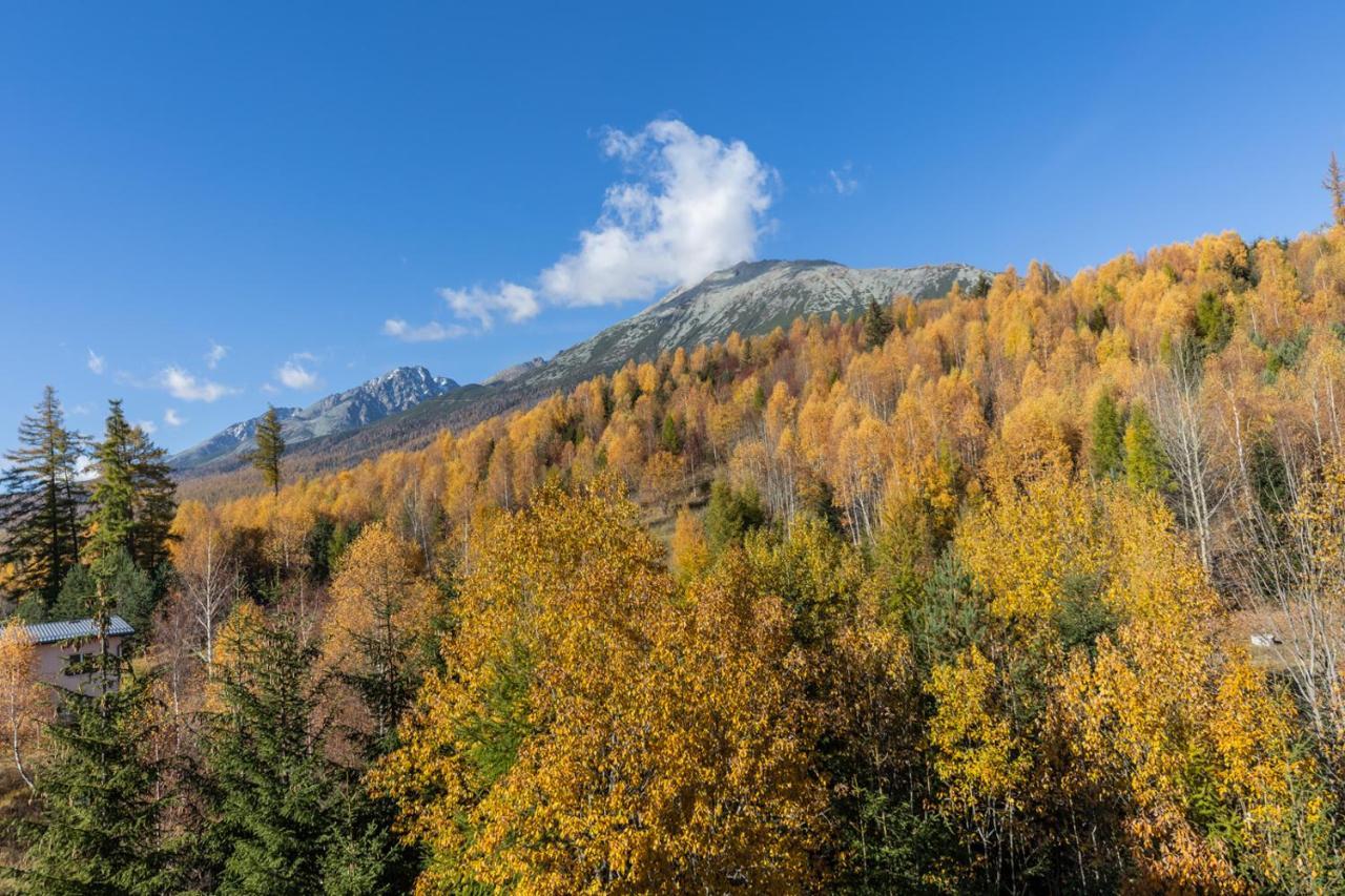 Vila Vlasta Apt. #401 Vysoke Tatry Exterior photo